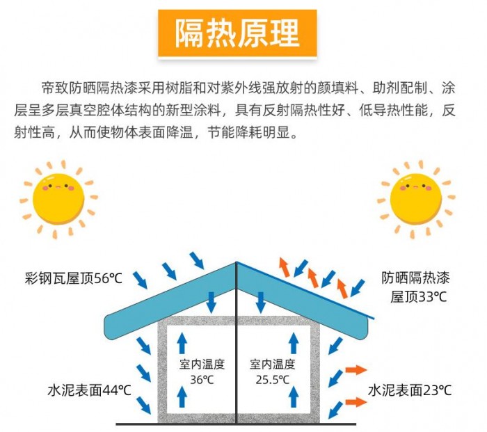 詳情6